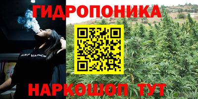 ALPHA PVP Нальчик