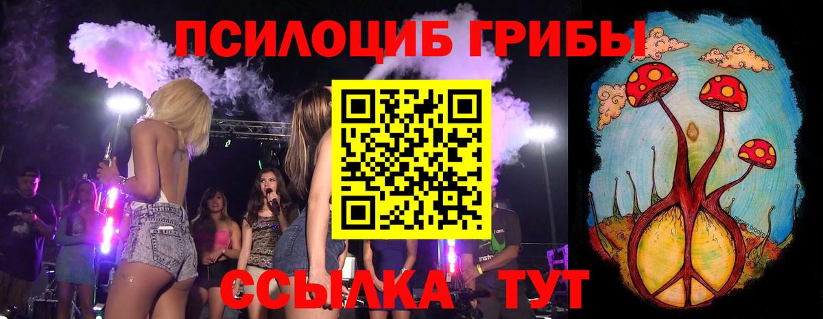 Псилоцибиновые грибы MAGIC MUSHROOMS Новозыбков